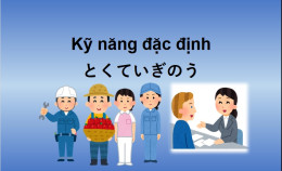 Lịch Thi Kỹ Năng Đặc Định 2025