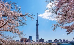 日本に行く前に知っておきたいこと 知らずに行くと、夢が“試練”になるかもしれません。