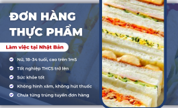 [Tỉnh Saitama] Tuyển Dụng 06 Nữ Thực Tập Sinh Đơn Hàng Thực Phẩm
