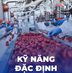 Kỹ năng đặc định