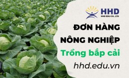 [Tỉnh Gunma] Tuyển Dụng 02 Nam Thực Tập Sinh Đơn Hàng Nông Nghiệp