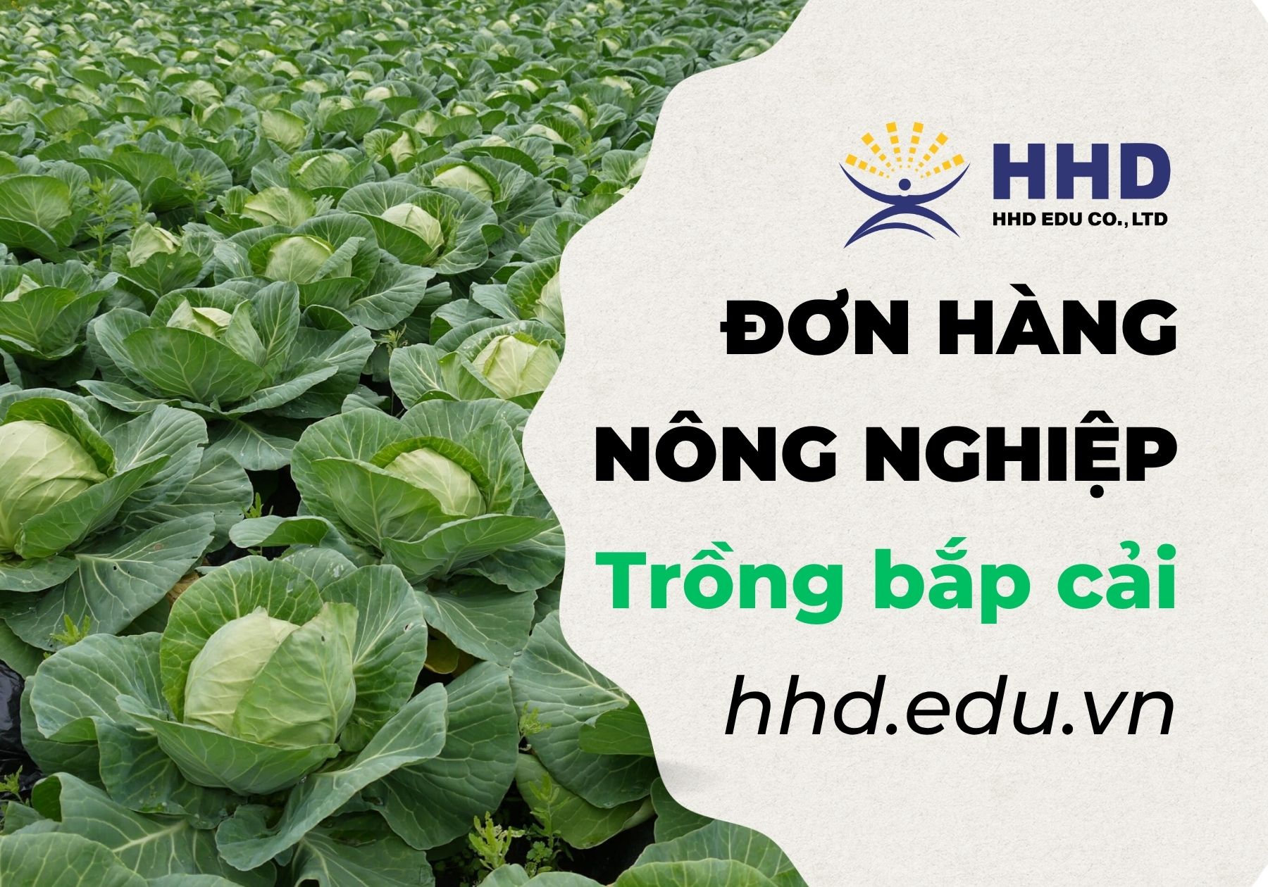 [Tỉnh Gunma] Tuyển Dụng 02 Nam Thực Tập Sinh Đơn Hàng Nông Nghiệp
