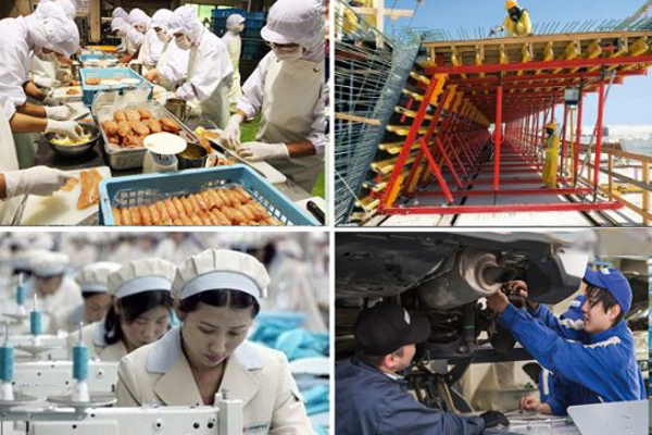 Nhật Bản cần lao động ngành nào nhất hiện nay? [Cập nhật 2025]