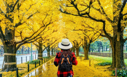 なぜ日本をキャリアの出発点に選ぶべきか？ 見逃せない3つの理由
